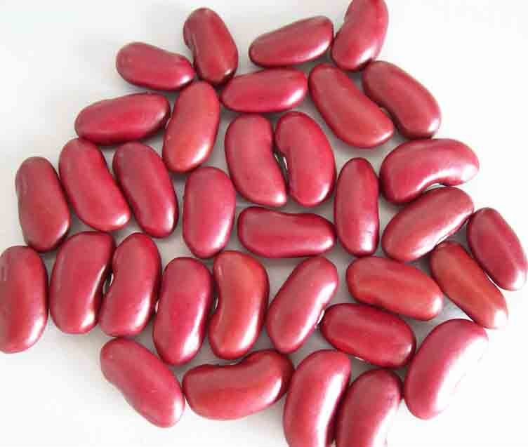 Red Kidney Beans